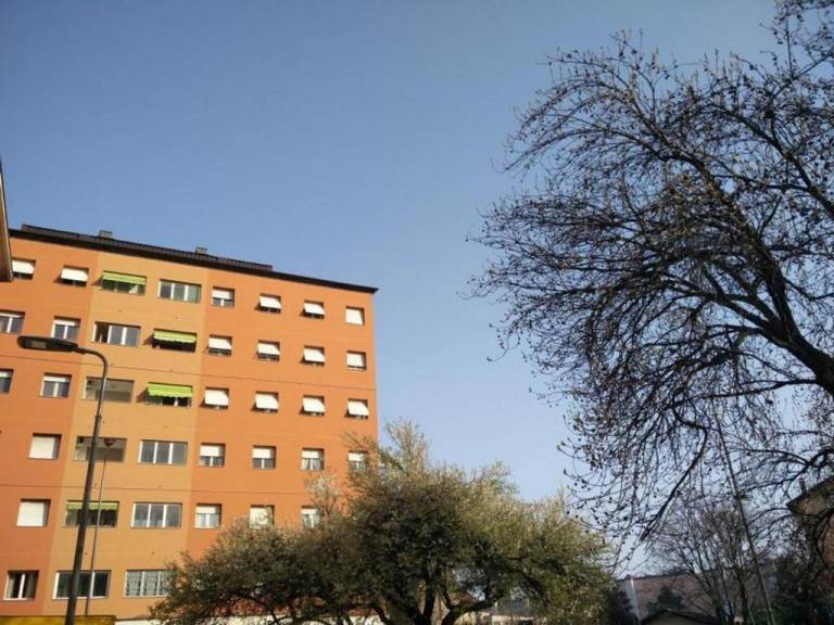 foto19
