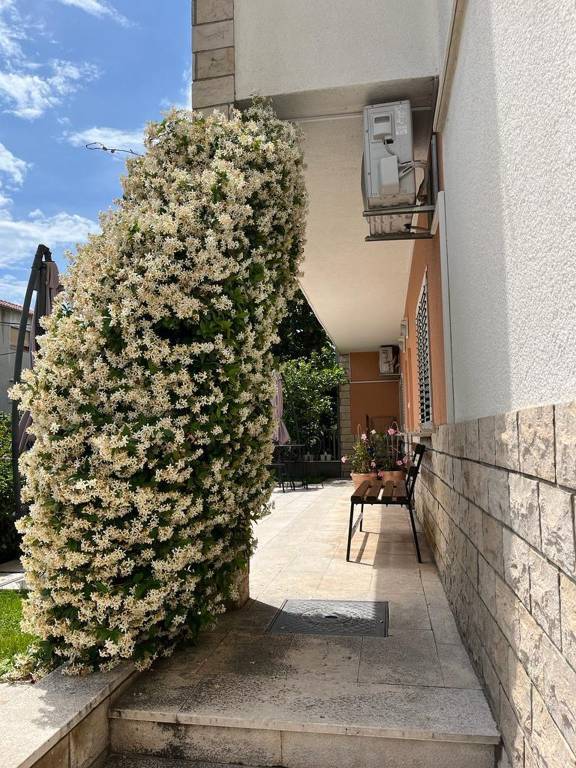 foto17