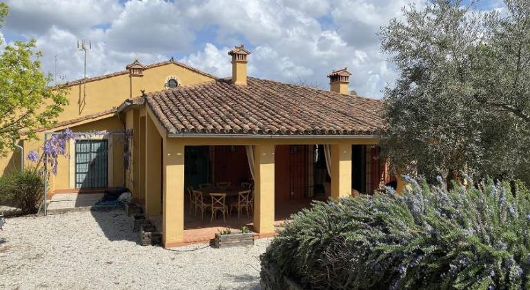 House with pool — photo 5