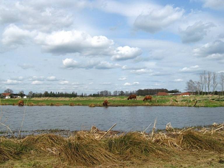 foto13