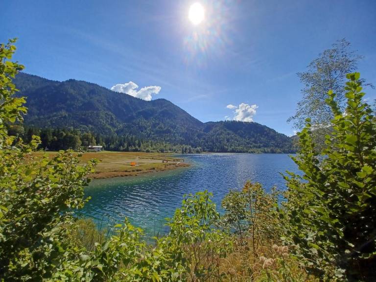foto12