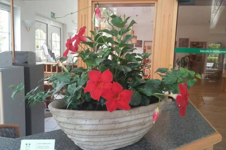 foto26