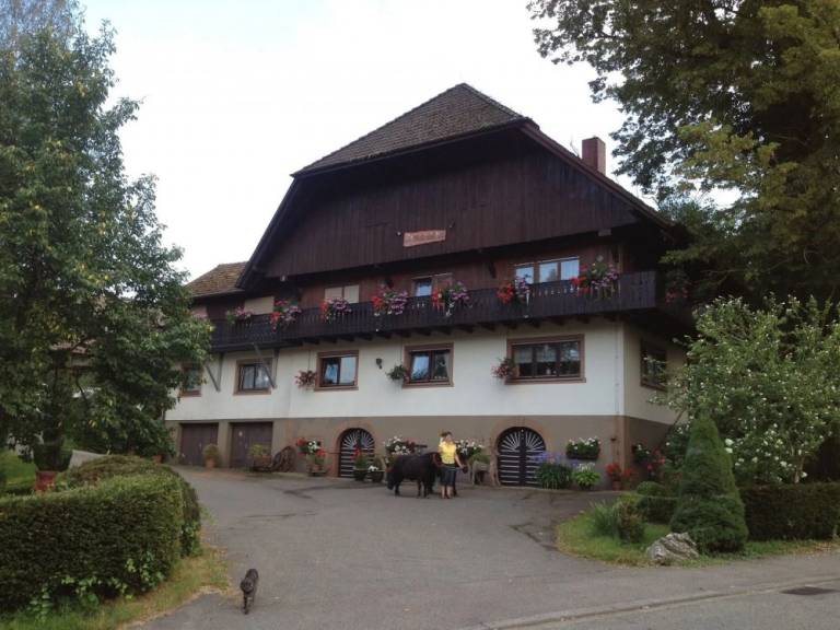 foto13