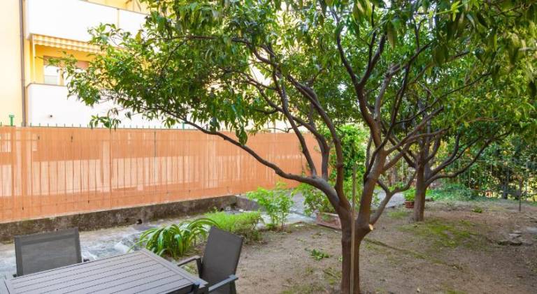 Holiday apartment | Beach nearby | Dogs allowed — photo 3