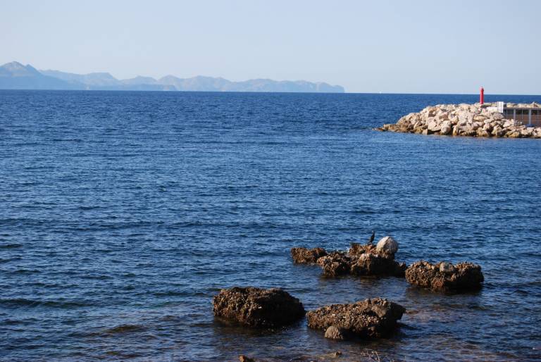 Ferienhaus Son Serra de Marina