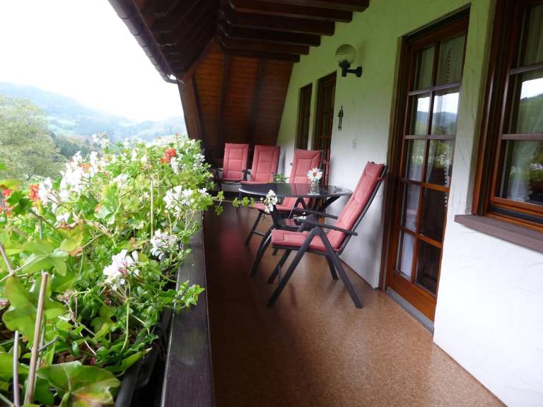 foto9