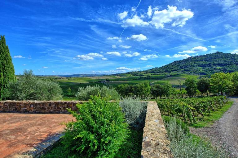 Brunello - Brunello 2 — photo 4