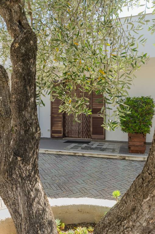 House with terrace, BBQ & yard | Nature view — photo 4