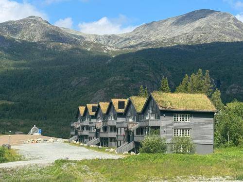 Leilighet Hemsedal