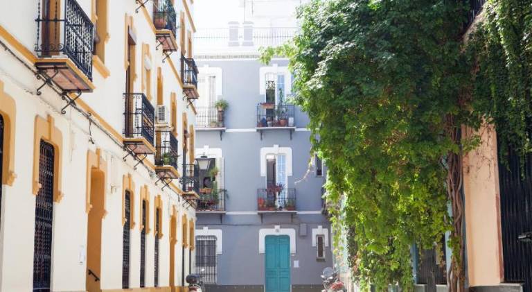 Holiday apartment | Near Metropol Parasol | Dogs allowed — photo 4