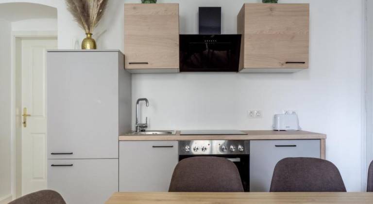 Apartment | Near Vienna City Hall | Pet-friendly — photo 4