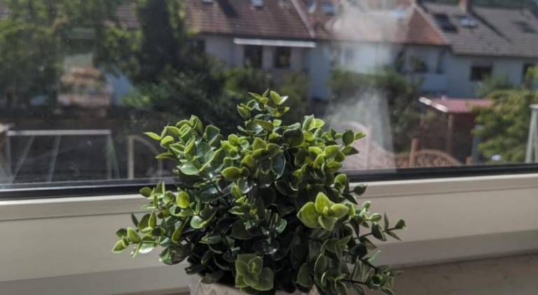 foto25