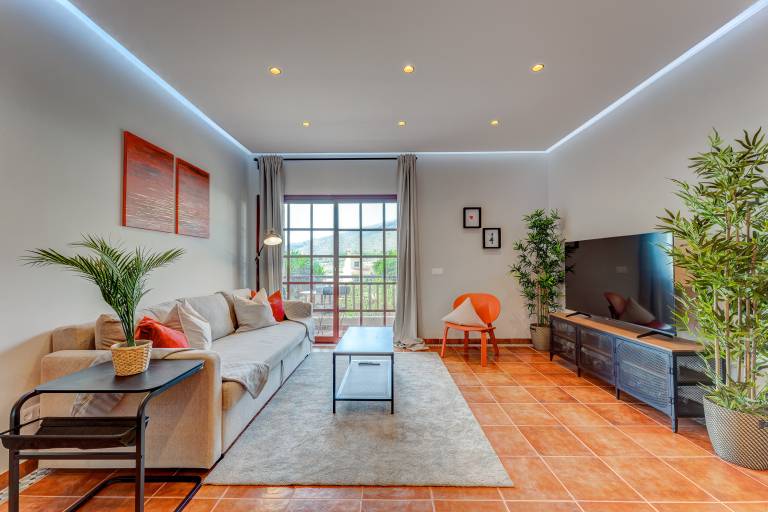 Apartment with terrace — photo 3