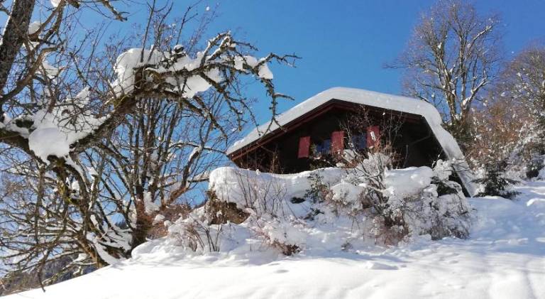 Pleasant vacation home | Dogs allowed in Schruns