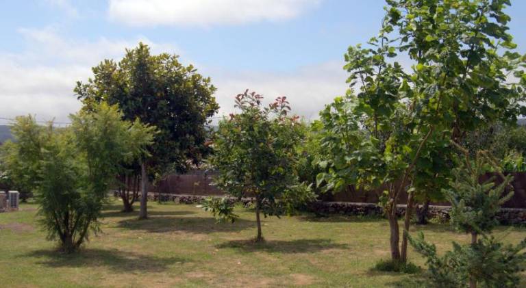 foto15