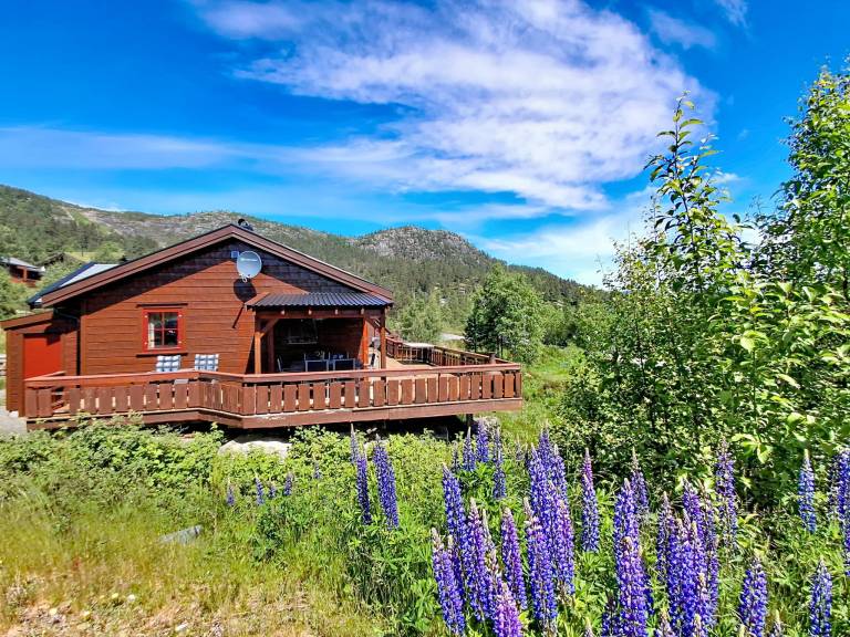 Ferienhaus Åseral