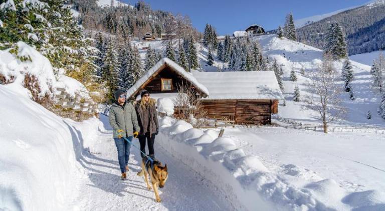 Holiday apartment | Close to the ski | Dogs allowed — photo 5
