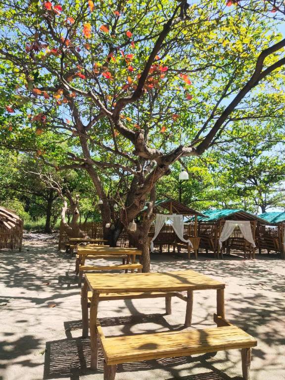 Calatagan Beach Family Room Bohemian Resort — photo 3