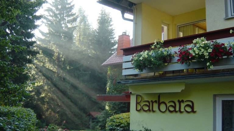 Ferienwohnung  Warmensteinach