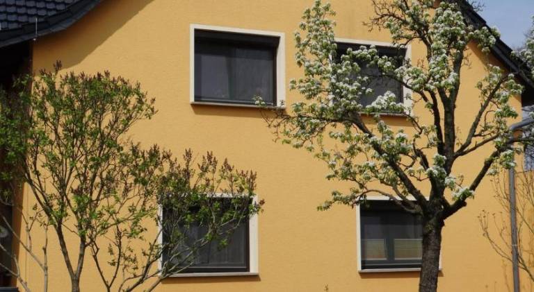 Rental apartment | Dogs allowed in Dresden
