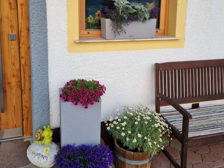 foto25