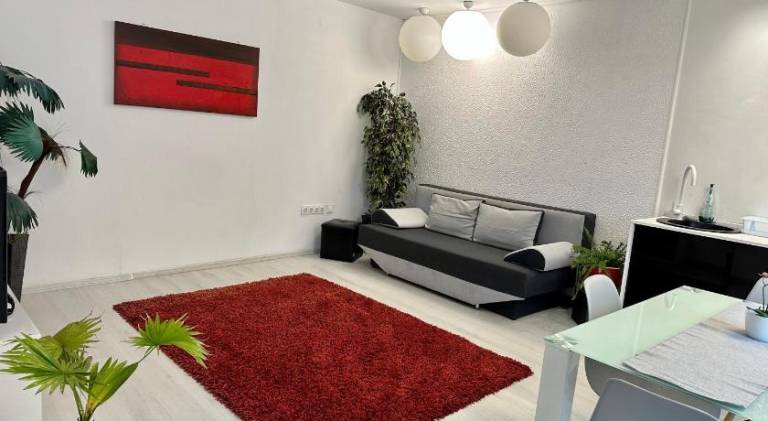Apartment with garden & terrace | Next to Saint Michael Church | Perfect for remote work | Pet-friendly in Cluj-Napoca