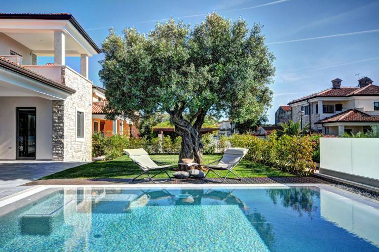 Villa Emotion with Pool — photo 5