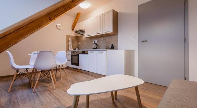 Rental apartment | Next to Saint Wenceslas Cathedral | Pets are welcome — photo 5