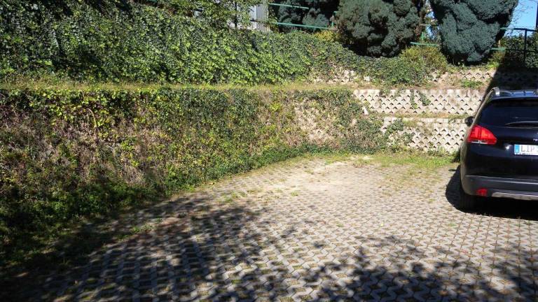 foto6