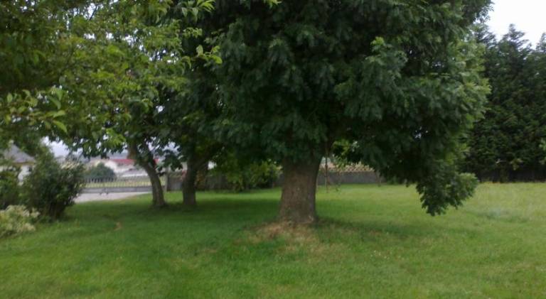 foto33