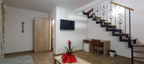Apartment Petrovaradin