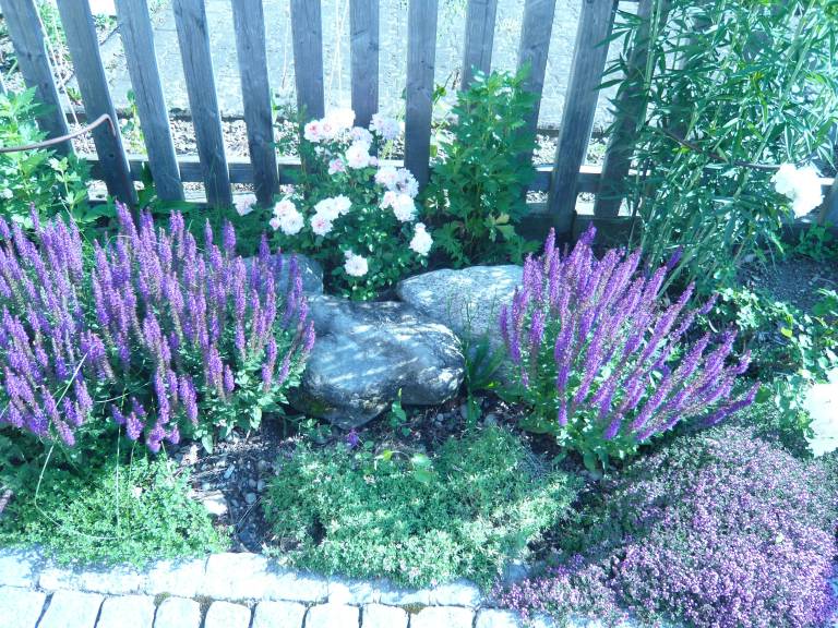 foto30