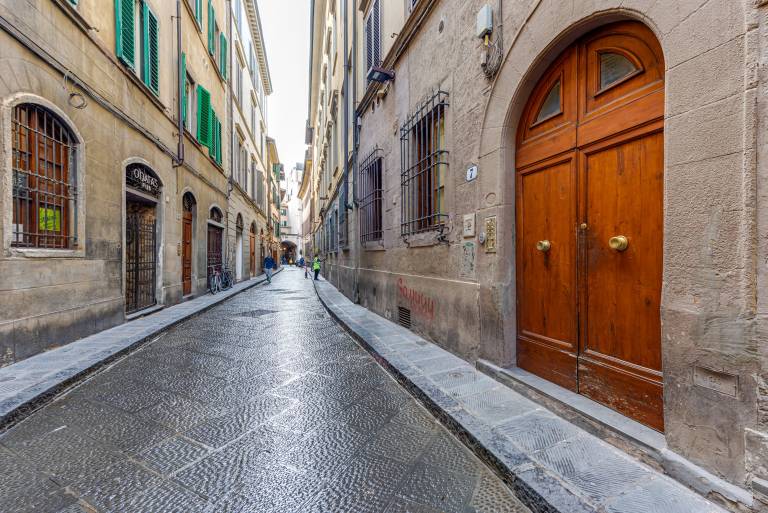 Apartment 'Irene and Elena House - Florence' with Wi-Fi and Air Conditioning in Santa Maria