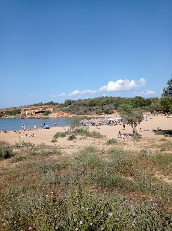 foto20