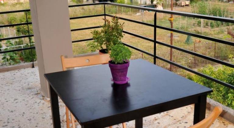 Holiday apartment with terrace | Pet-friendly — photo 3