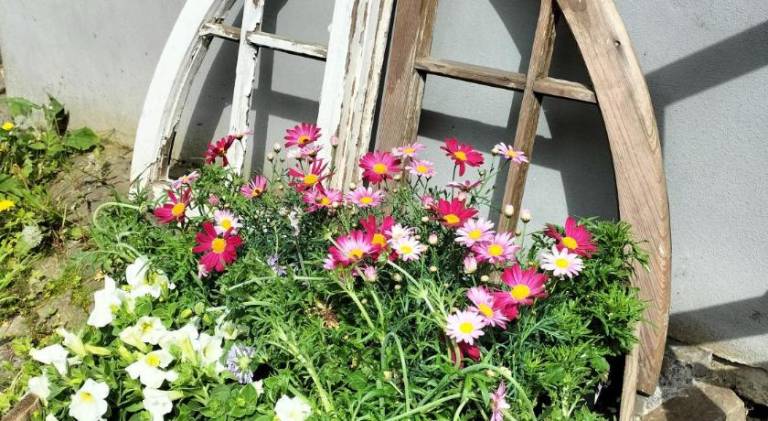 61 m&sup2; Ferienwohnung