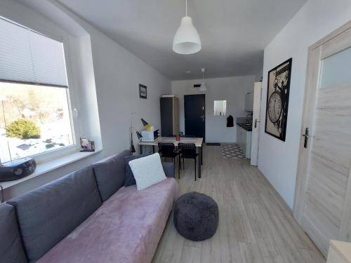 Apartament Jedlina-Zdrój