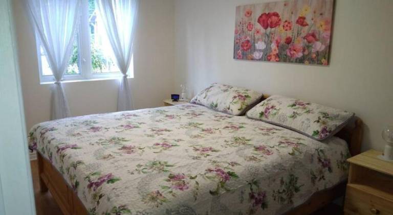 foto19