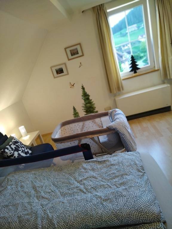 foto7