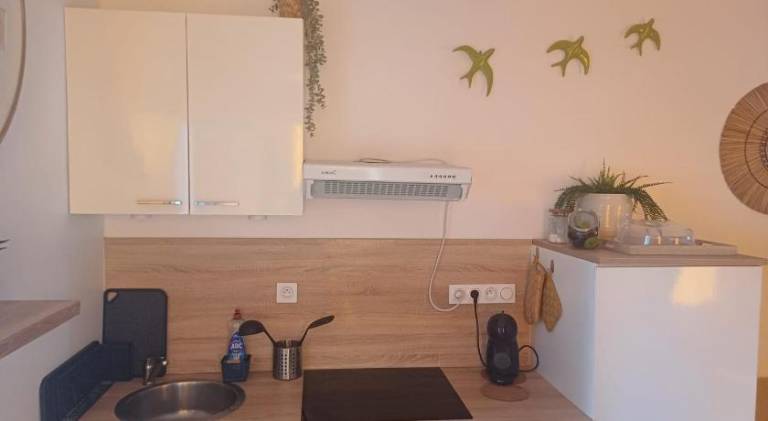 Holiday apartment with yard & terrace | Pets are welcome — photo 5