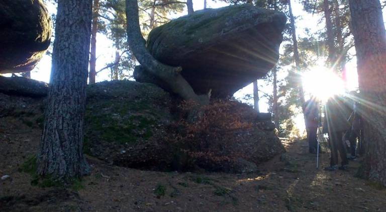 foto42