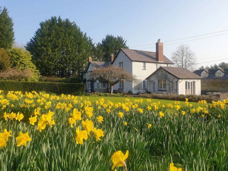 Bed and breakfast Adforton