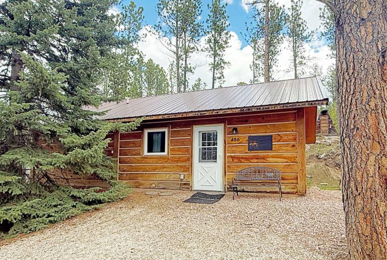 Cabin Custer