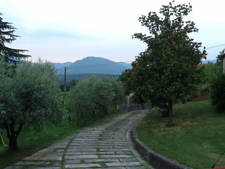 foto11