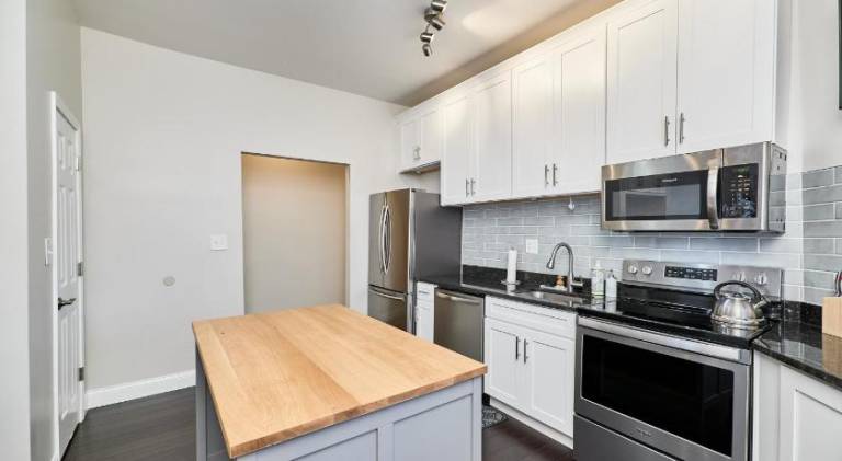 St Louis 2BD 2BA, Forest park, BJ Hospital, Science Center, eats — photo 4