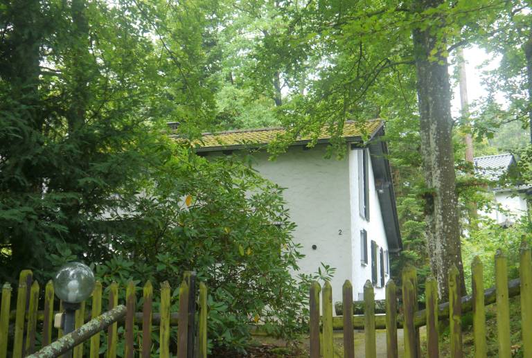 foto12