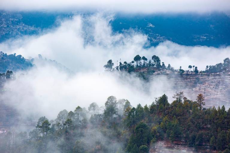 LiveAway Ramgarh (near Nainital) by PACK — photo 5