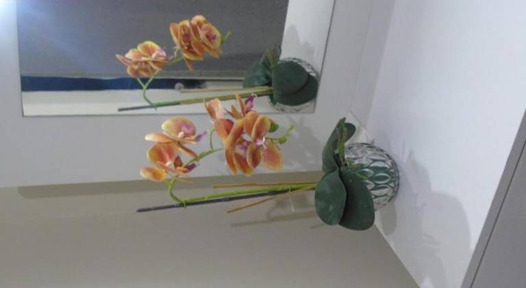 foto46