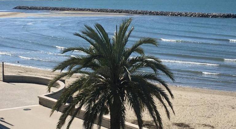 Lovely rental apartment | Next to the beach | Pet-friendly in La Grande-Motte