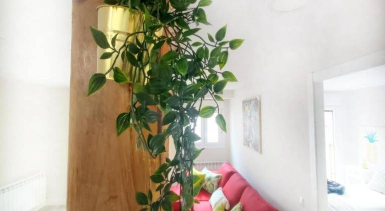 Apartment | Pet-friendly — photo 5